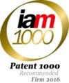 IAM Patent 1000 2016